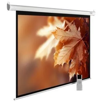 Экран 188X300CM CS-PSME-300X188-WT CACTUS